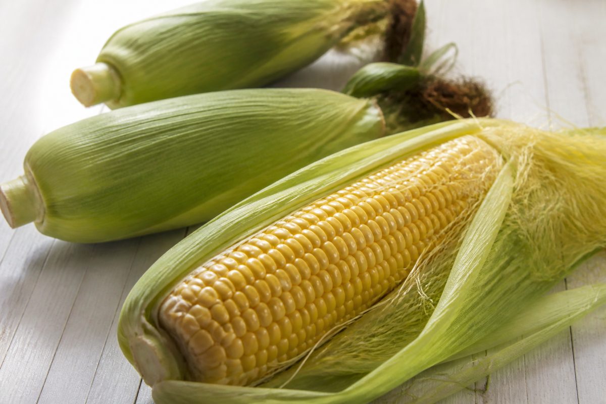 Does Corn Cause Bloating?