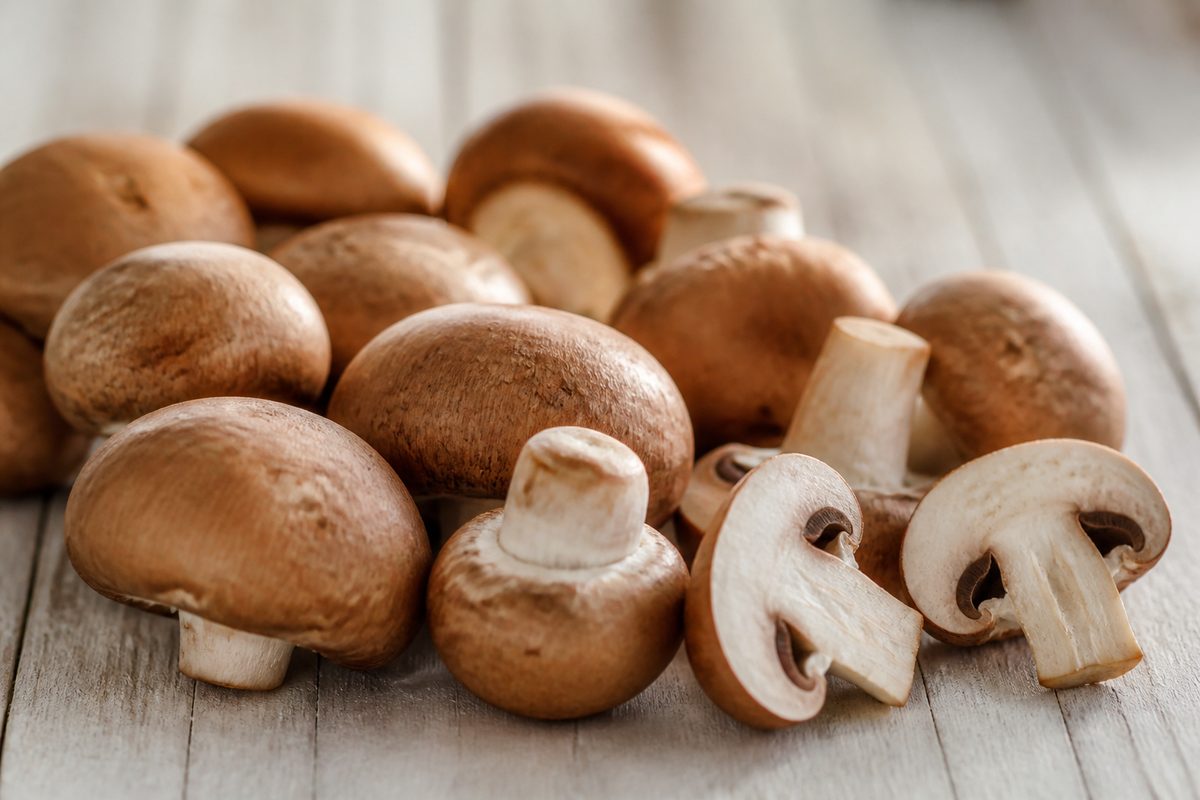 Does Mushroom Help With Back Pain?